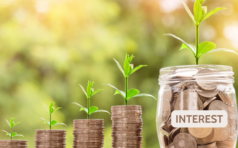 four columns of coins stand side by side with a jar of coins to their right. The jar has a label that reads “INTEREST”. From left to right, each column is progressively taller. Each column of coins and the jar also has a sprig of green growing from its top to illustrate how term life insurance grows cash value.