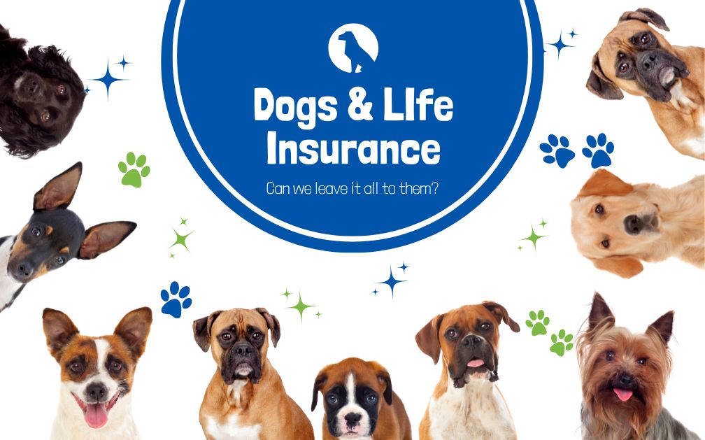 Can Your Dog Be a Life Insurance Beneficiary?